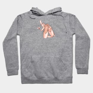 pink pointe shoes Hoodie